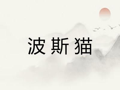 波斯猫 波斯猫