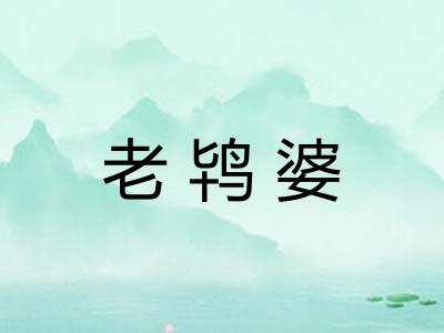 老鸨婆