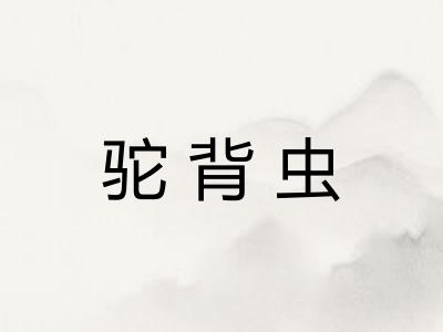驼背虫