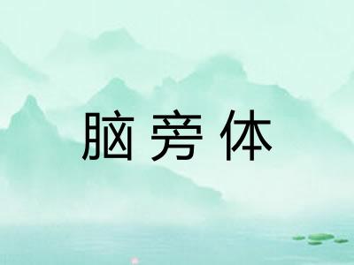 脑旁体 脑旁体