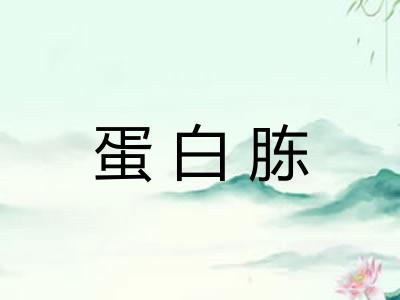 蛋白胨