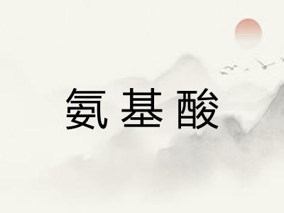 氨基酸 氨基酸