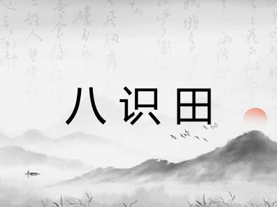 八识田