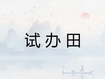 试办田