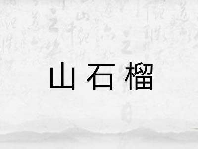 山石榴