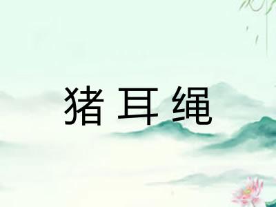 猪耳绳
