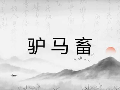 驴马畜 驴马畜