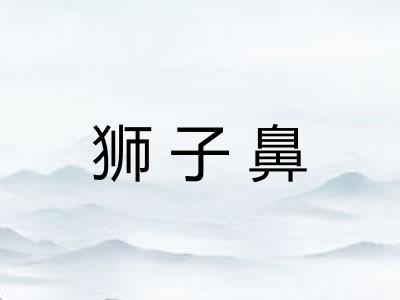 狮子鼻