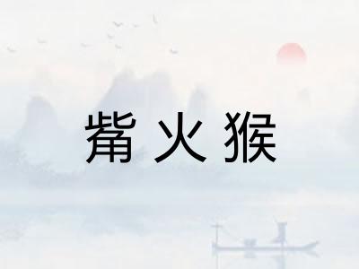 觜火猴 觜火猴