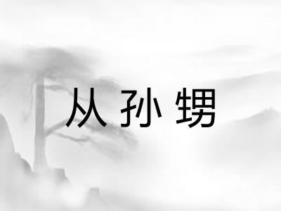 从孙甥