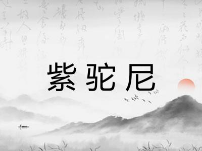 紫驼尼 紫驼尼