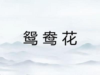 鸳鸯花
