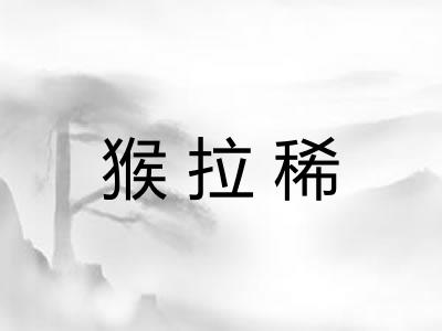 猴拉稀 猴拉稀