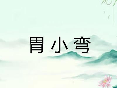 胃小弯 胃小弯