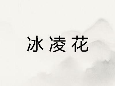 冰凌花 冰凌花