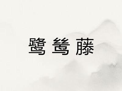 鹭鸶藤