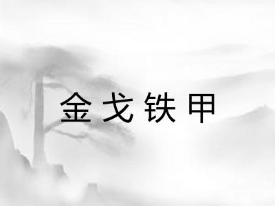 金戈铁甲