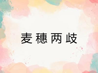 麦穗两歧