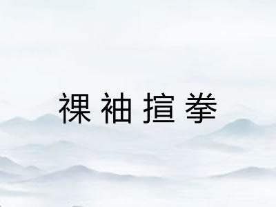 祼袖揎拳