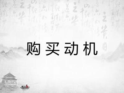 购买动机