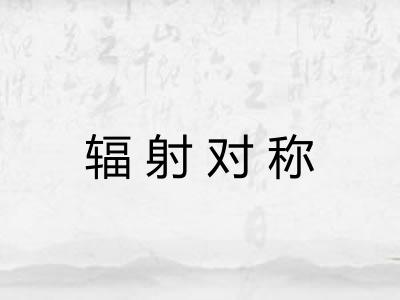 辐射对称 辐射对称