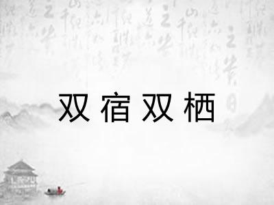双宿双栖