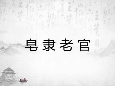 皂隶老官
