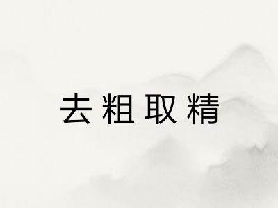 去粗取精