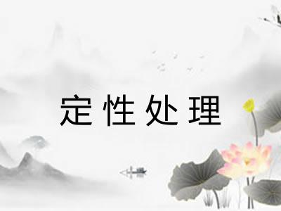定性处理