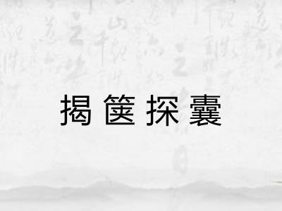 揭箧探囊