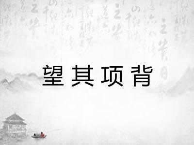 望其项背 望其项背