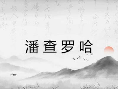 潘查罗哈 潘查罗哈