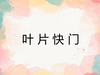 叶片快门