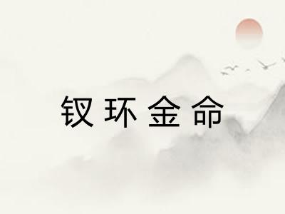钗环金命