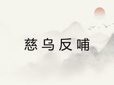 慈乌反哺