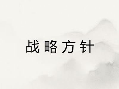 战略方针