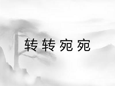 转转宛宛