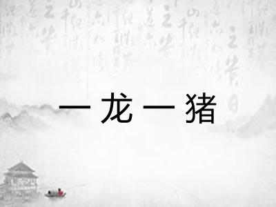 一龙一猪