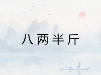 八两半斤 八两半斤