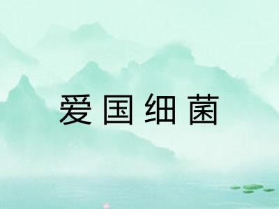 爱国细菌