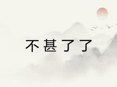 不甚了了