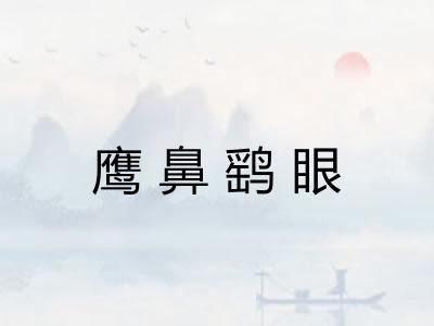 鹰鼻鹞眼