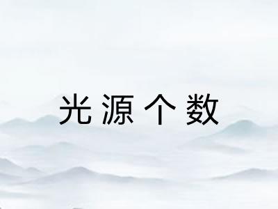光源个数