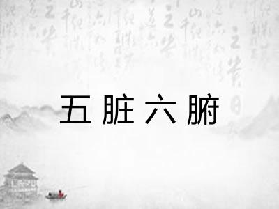 五脏六腑