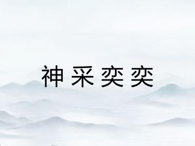 神采奕奕 神采奕奕